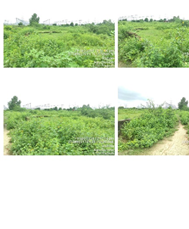 MONIKA FINE-180920253